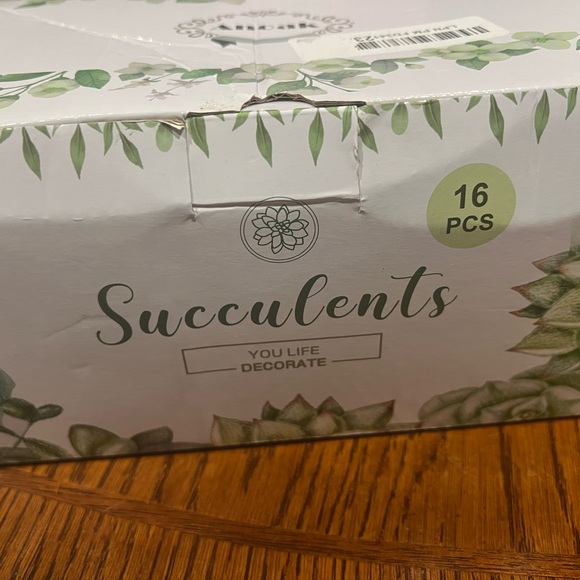 Faux Succulents - Green 16 pcs - Picture 15 of 16